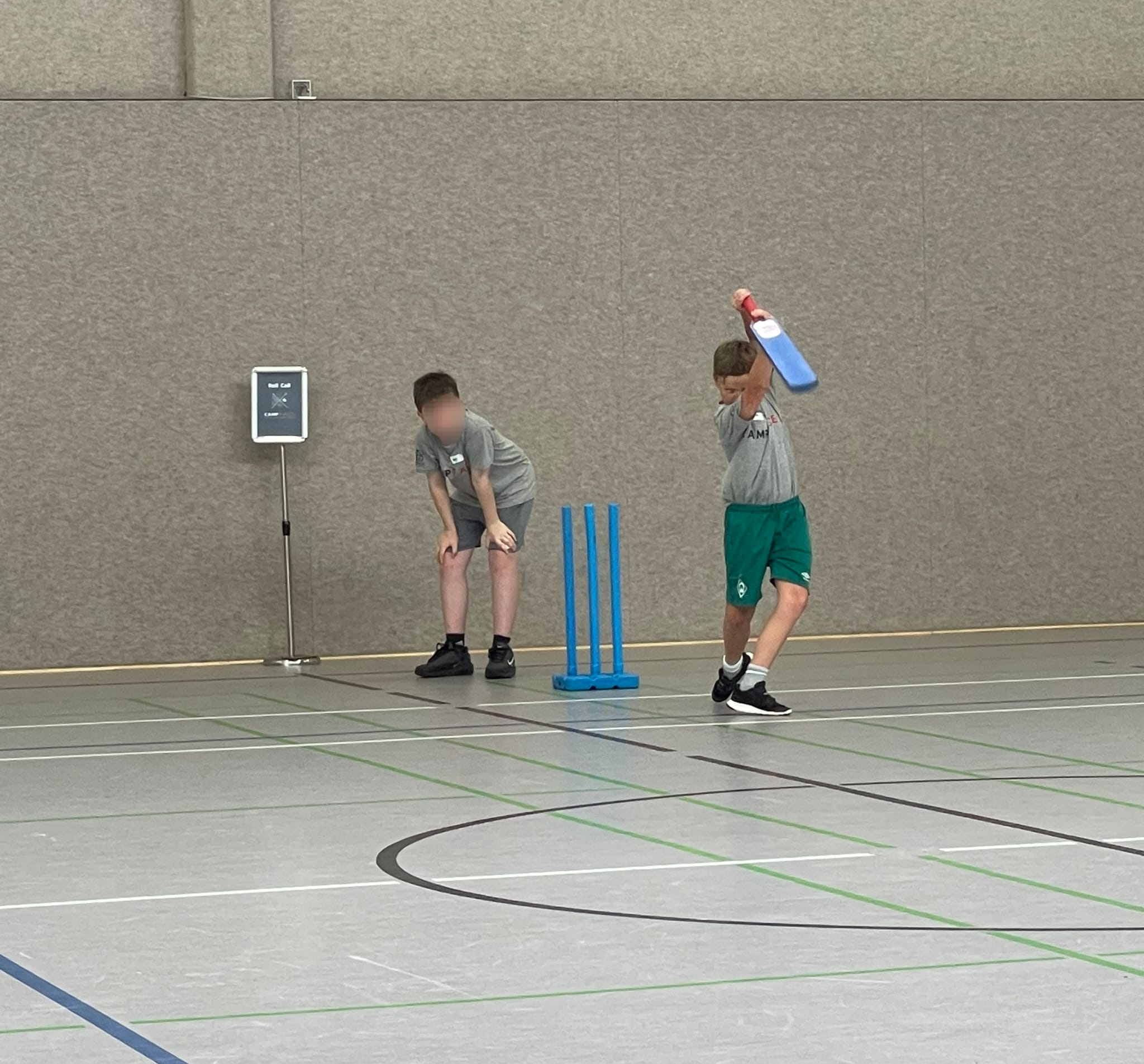 Cricket