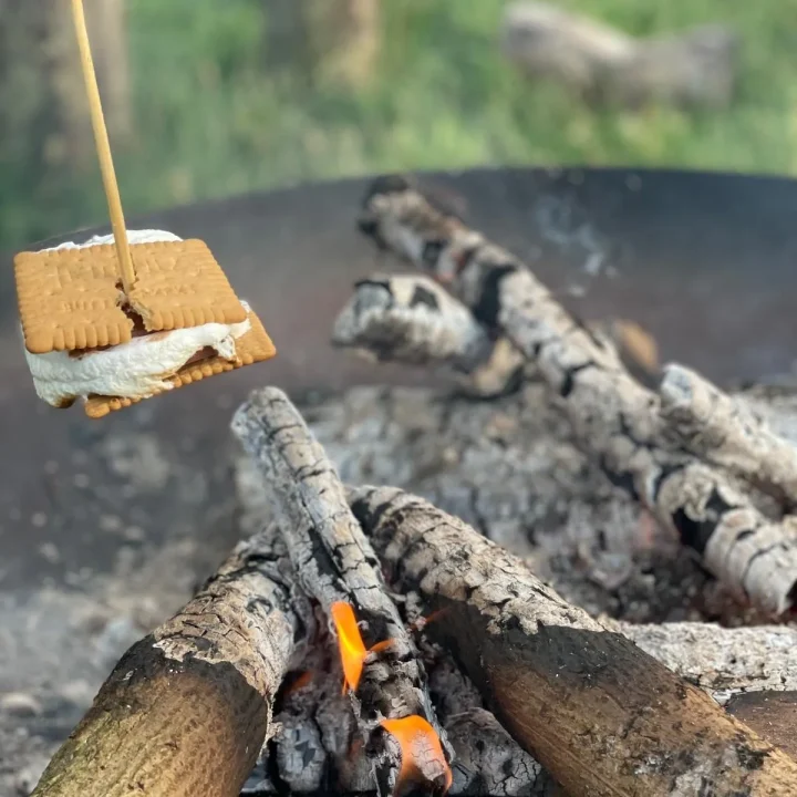 S'mores